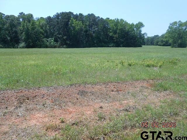 2nd image of LOT 4 County Road 217 E