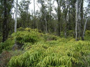 11 3059th #43, Volcano, HI 96785