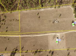 419 Bub Shumpert Rd, Pelion, SC 29123