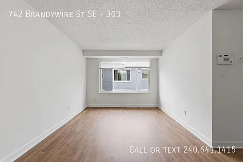 742 Brandywine St SE #303 Photo 1