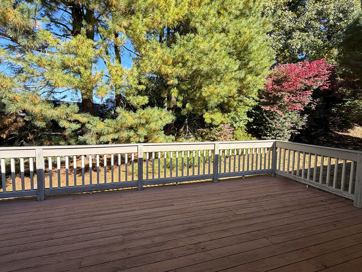 2 bed, 1296 sqft, $4,200 — Photo 3