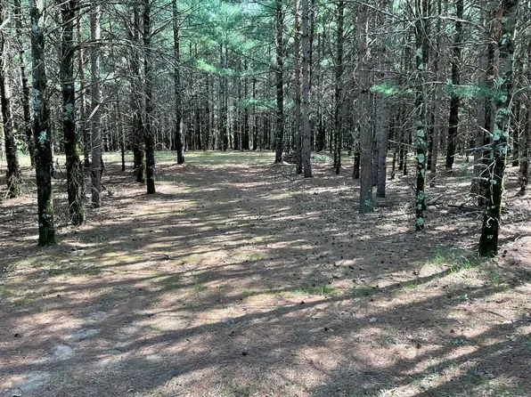Browndeer Ave, Friendship, WI 53934