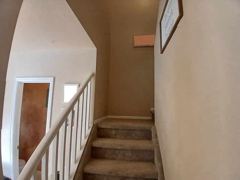 7996 Shamrock Cir — Photo 8