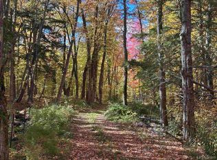 Off East Shore Rd, Marenisco, MI 49947