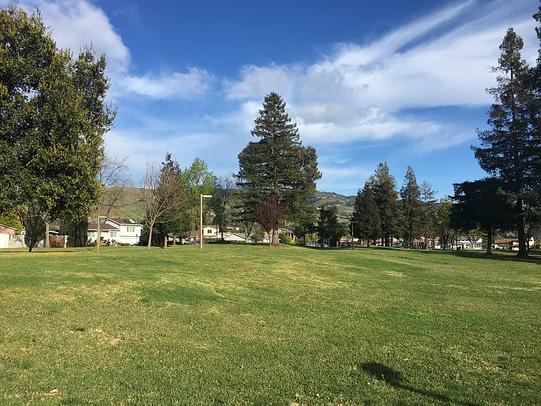 Flintmont Dr — Photo 35