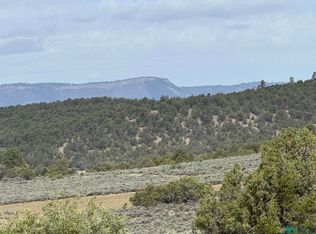 U 3 T 4 Talavera Rd, Tierra Amarilla, NM 87575