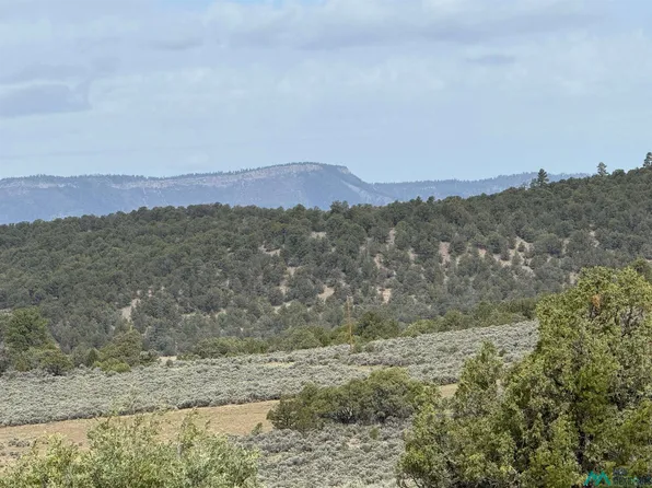 U 3 T 4 Talavera Rd, Tierra Amarilla, NM 87575