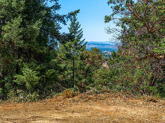 5th image of 2091 Knowles Rd