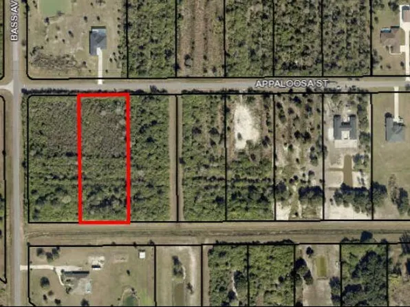 Appaloosa Street & Bass Ave, Palm Bay, FL 32909