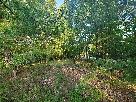3rd image of 1424 Echota Ln
