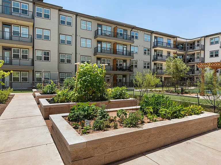 Amberlin Pflugerville 55+ Active Adult — Photo 34
