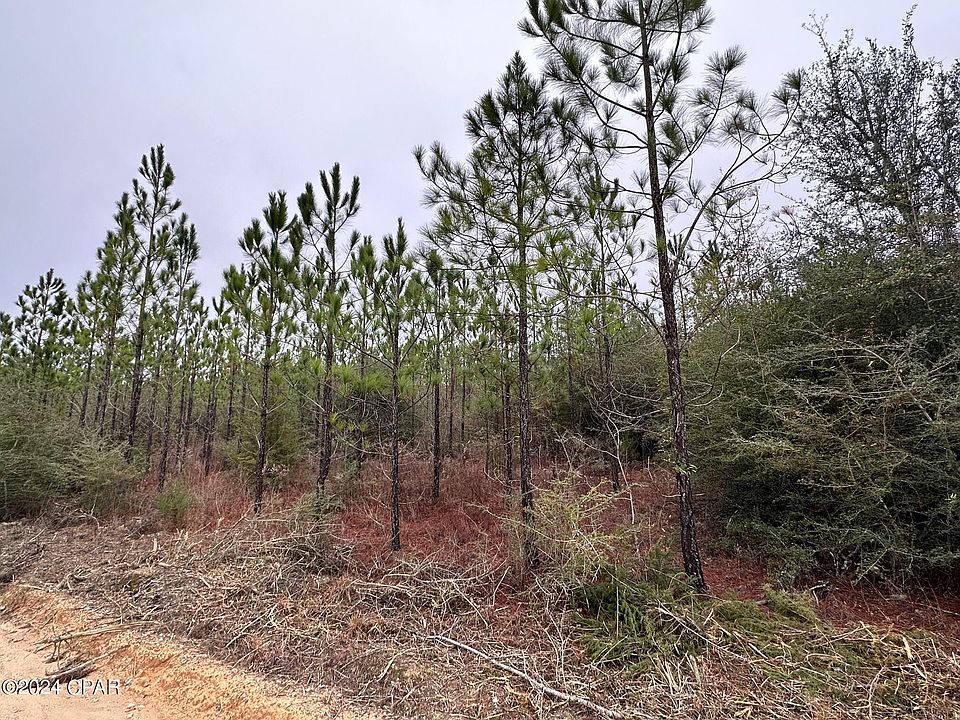 1st image of TRACT 6418 S Mattox Springs Rd #4