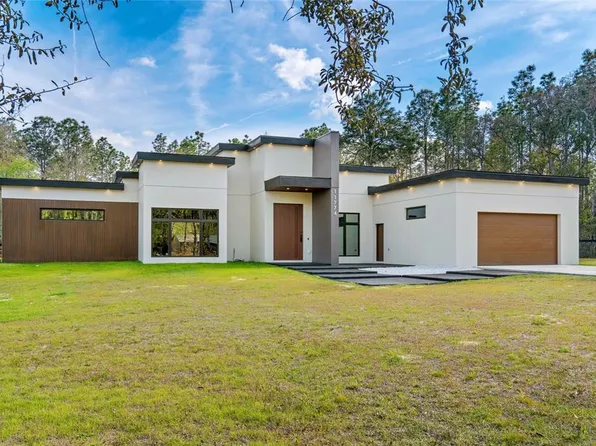 11774 SW 61st Place Rd, Ocala, FL 34481
