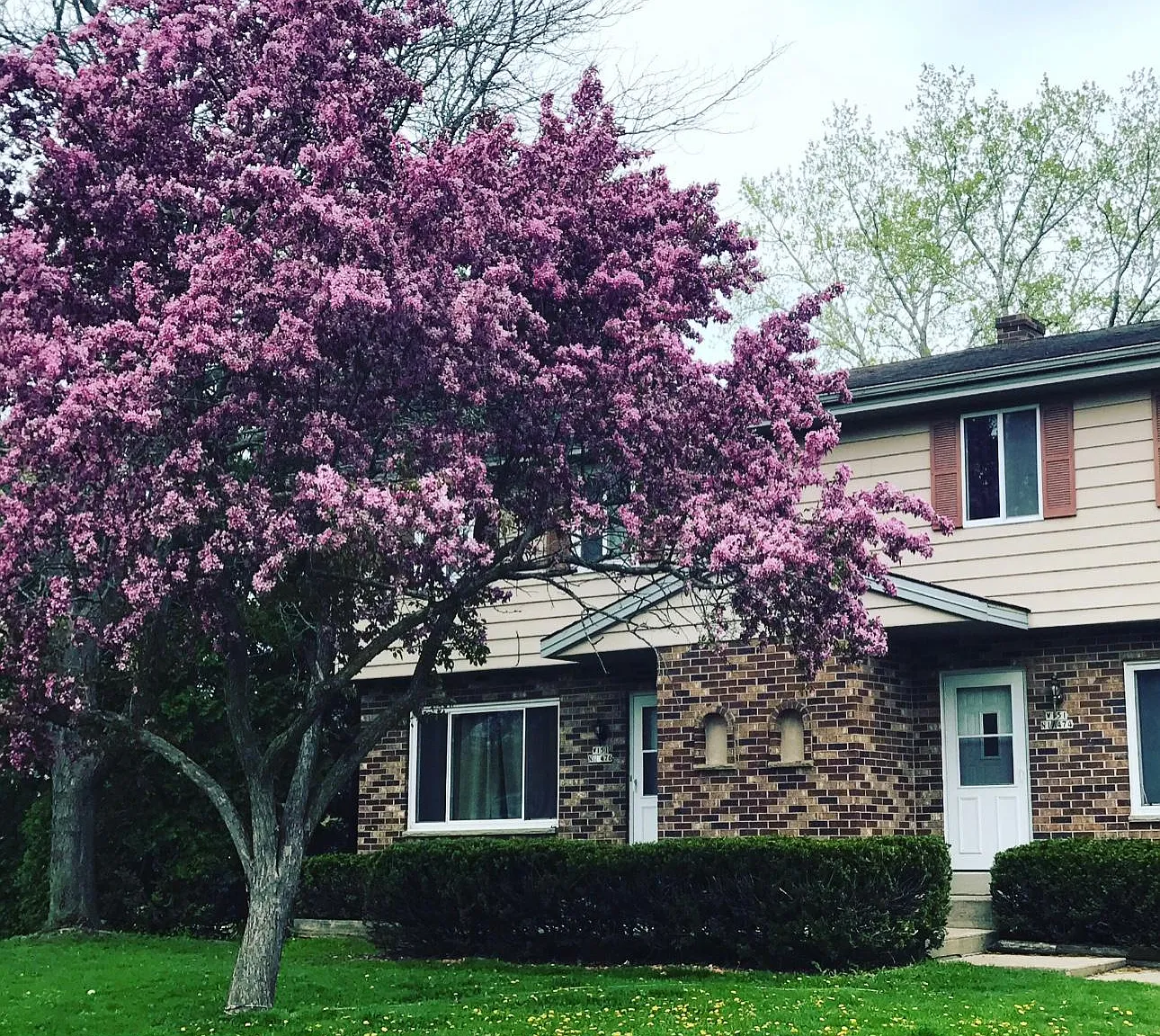 W151N11474 Potomac Cir — Photo 1