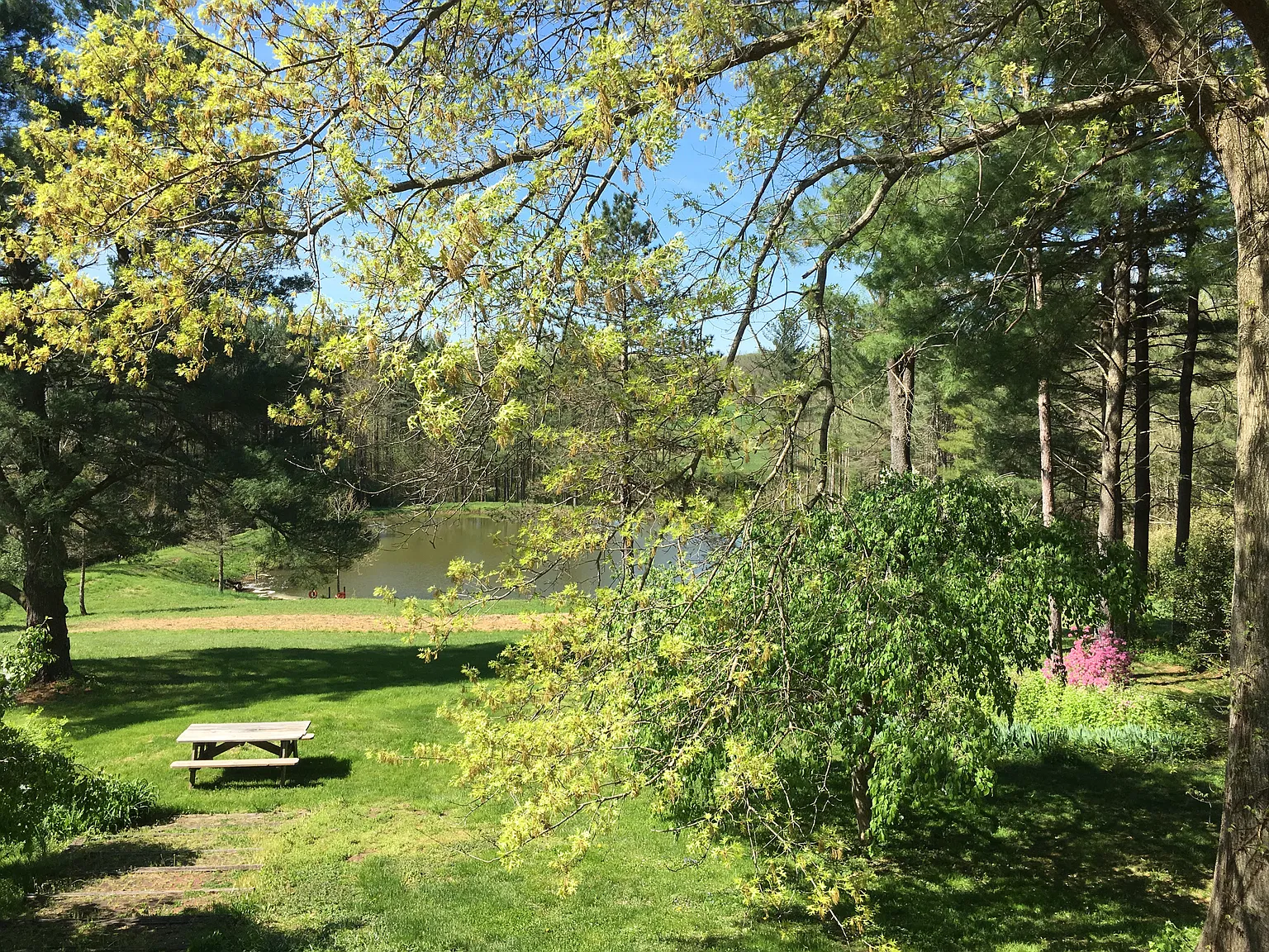 1 bed, $900 — Photo 2