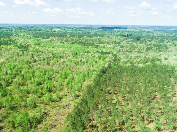 County Road 1891a, Bivins, TX 75555