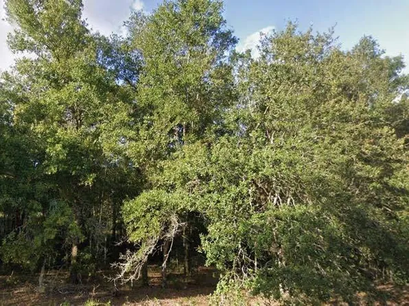 262 Cypress St Lot 31, Interlachen, FL 32148