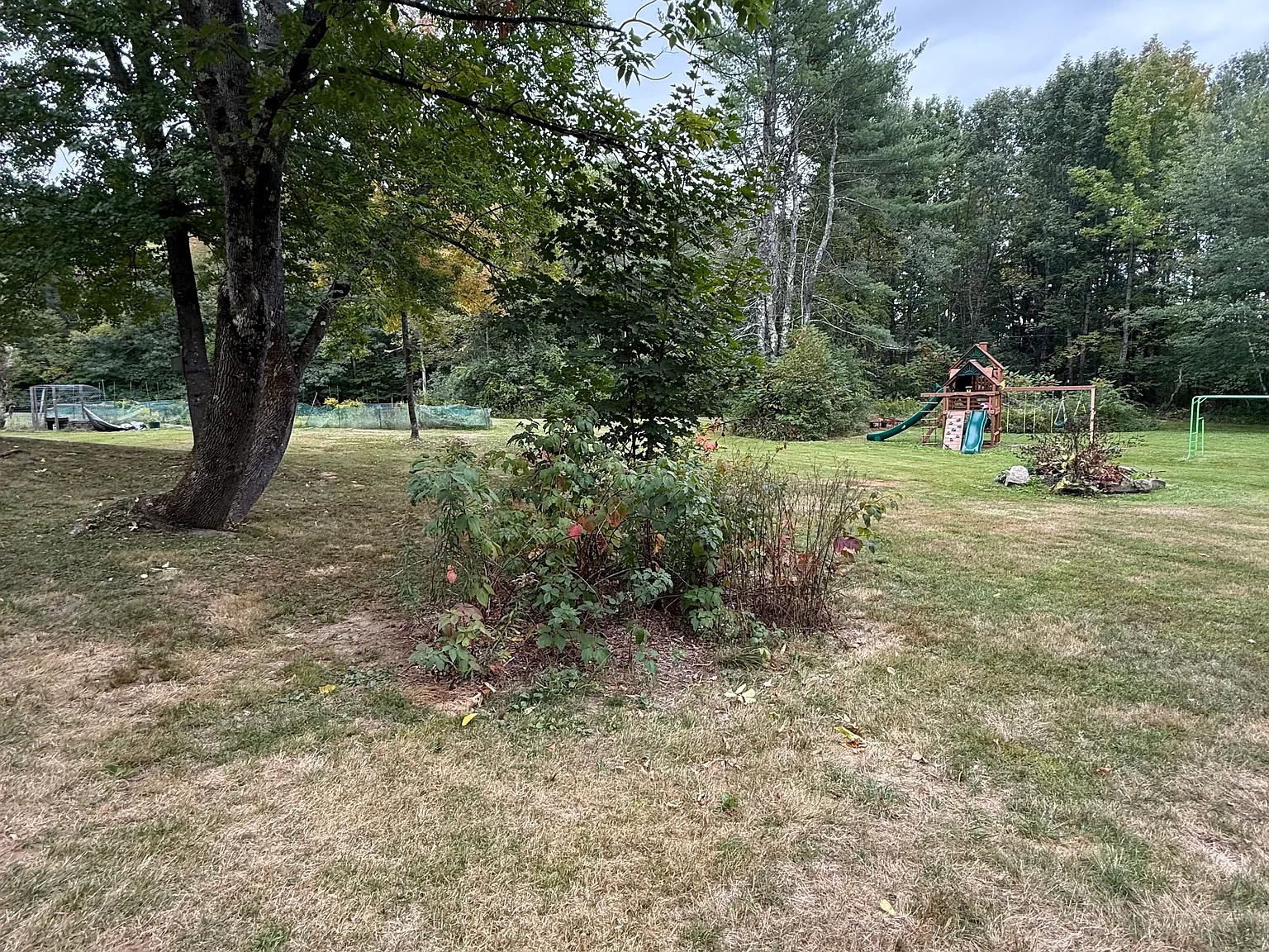 3 bed, 1.5 bath, 1600 sqft, $3,000 — Photo 2