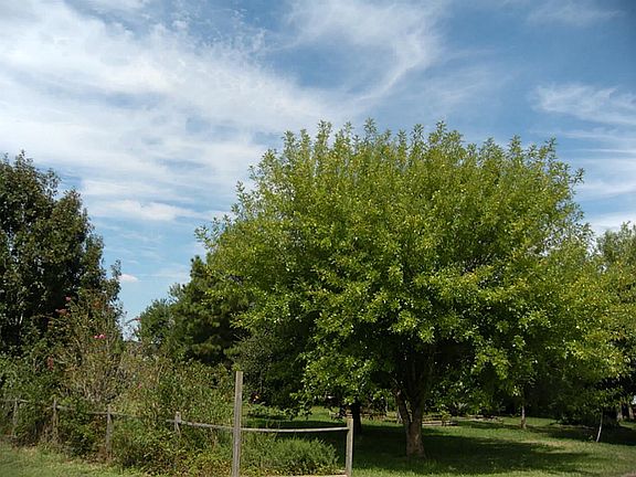 Great curb appeal, come to the country and take in the fresh air.