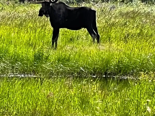 Mile 117 Richardson Hwy, Glennallen, AK 99588