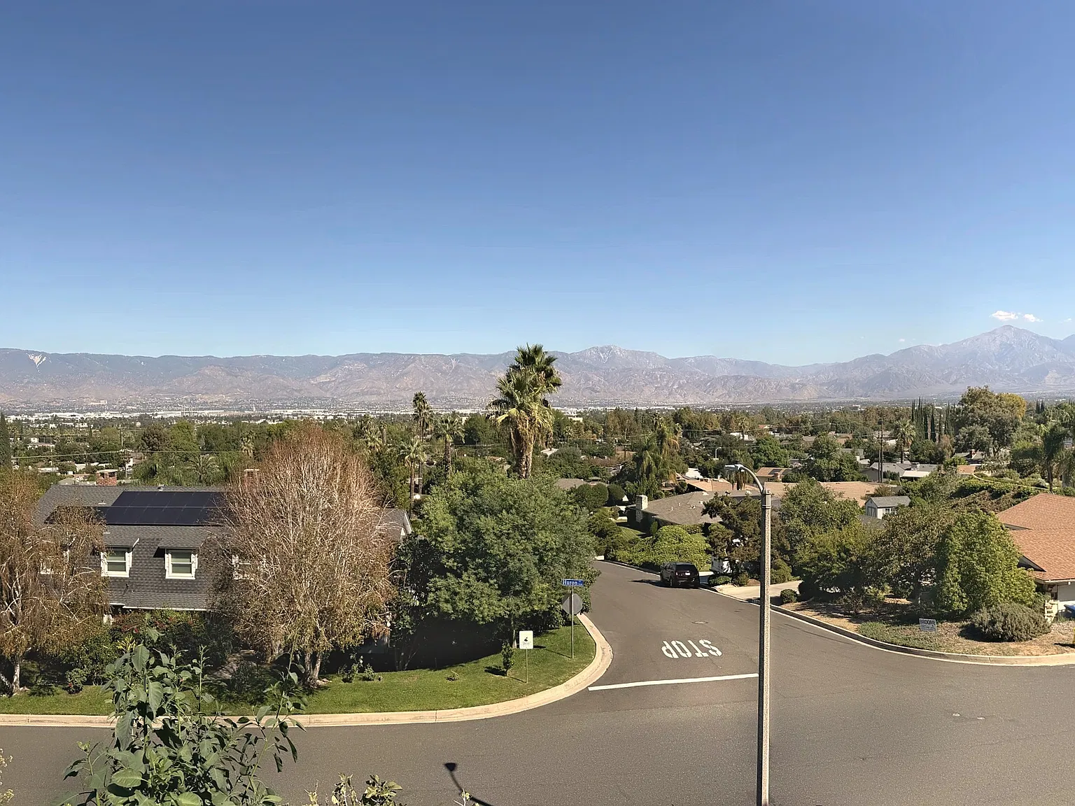 2 bed, 1000 sqft, $2,850 — Photo 3