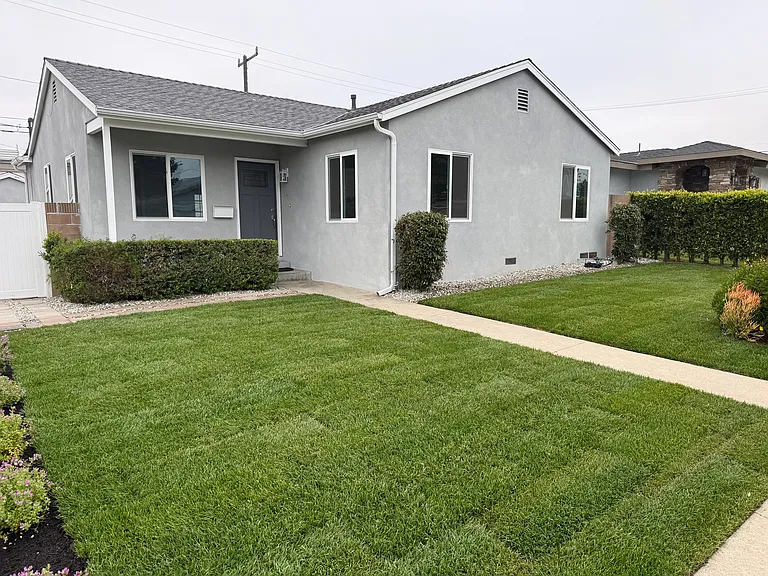 Front yard