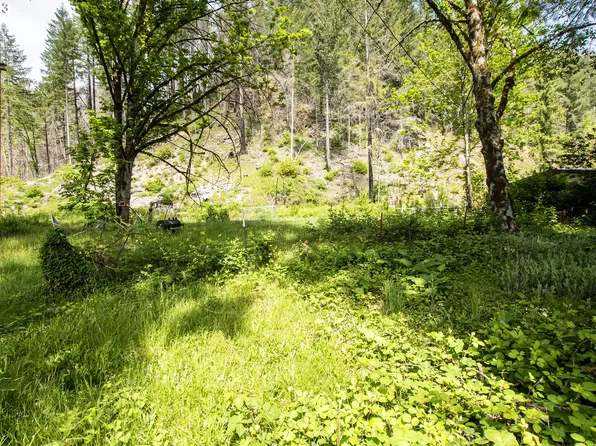 47987 McKenzie Hwy, Vida, OR 97488
