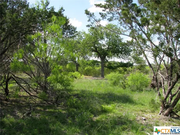 County Road 160, Evant, TX 76525