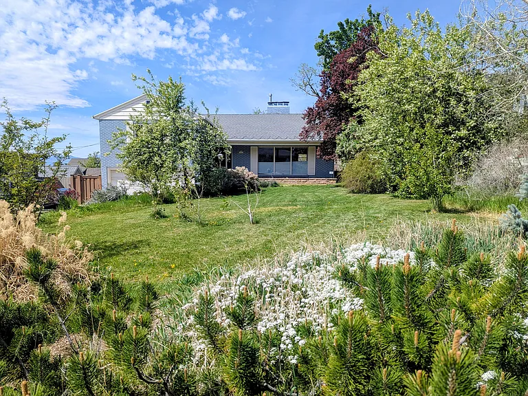 Landscaped front yard with flowering trees
