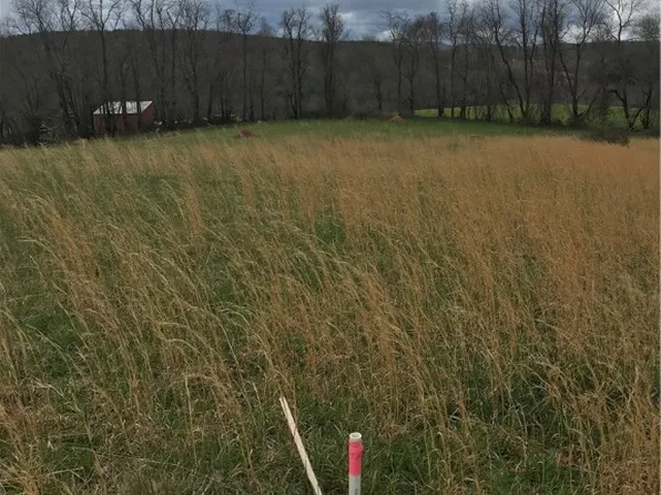 tbd (8-10) Dogwood Valley Road, Sparta, NC 28675