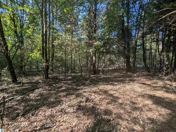 N/a N Forest Lake Dr, Alger, MI 48610