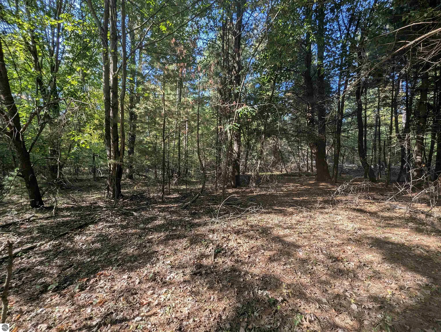 N/a N Forest Lake Dr photo 1