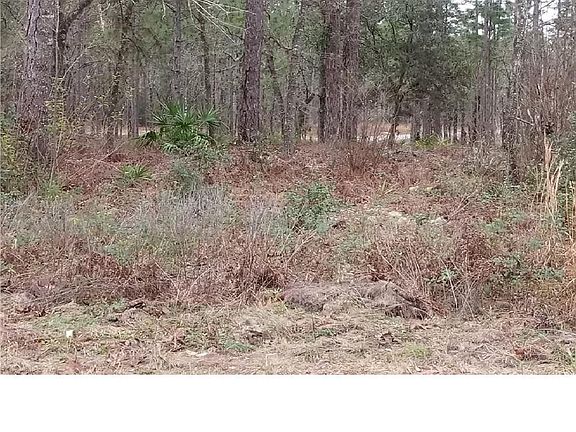 3rd image of 1496 W Diamond Dr