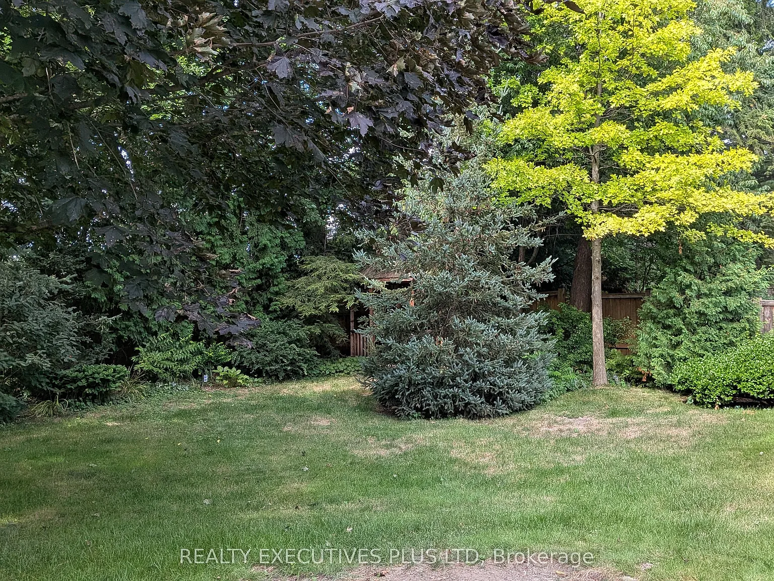 3 bed, $5,500 — Photo 4