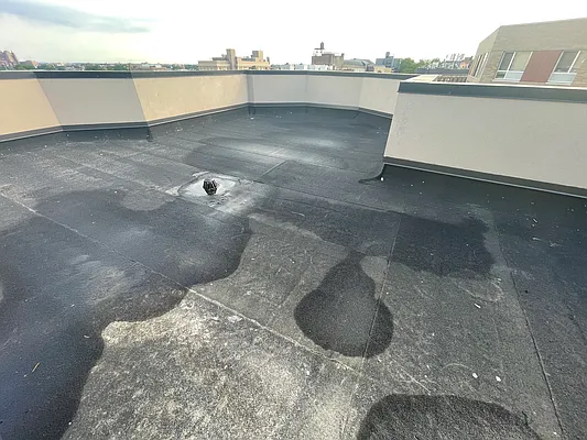 Rented by Daniela Realty, LLC | media 1