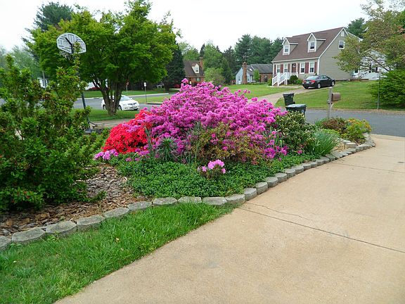 Exterior Front - Driveway