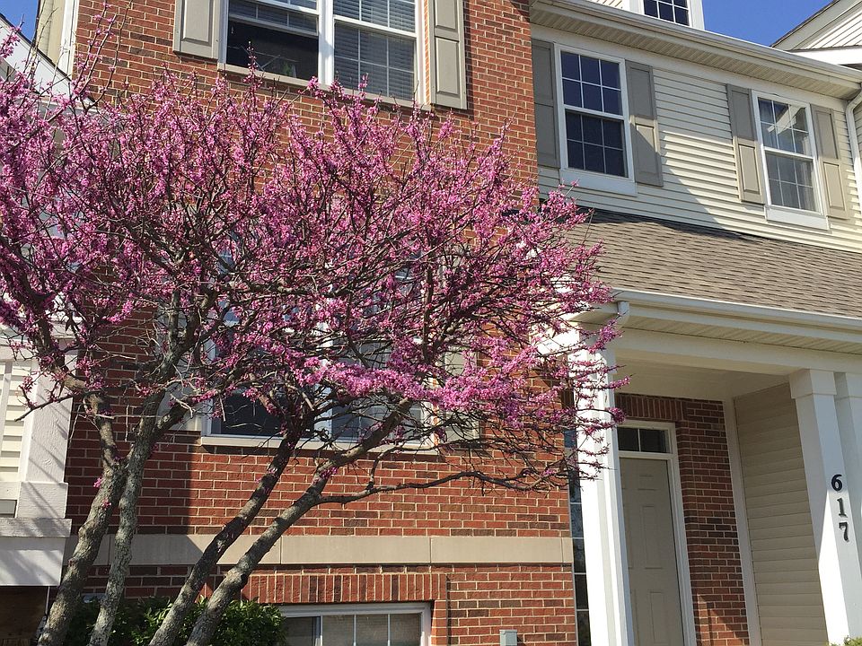 1st image of 617 N Hidden Prairie Ct