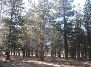2818 Erwin Ranch Rd, Big Bear City, CA 92314