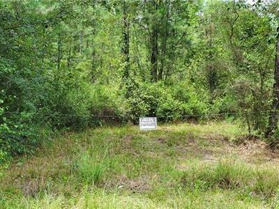 80703 Highway 21, Bush, LA, 70431