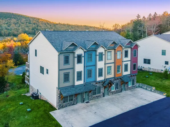 31 Creekside Dr, Snowshoe, WV 26209