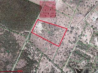 203 New Light Dr, Neeses, SC 29107