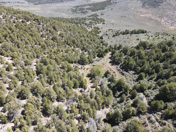Pot Creek Rd, Dinosaur, CO 81610