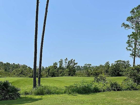 view of golf course 