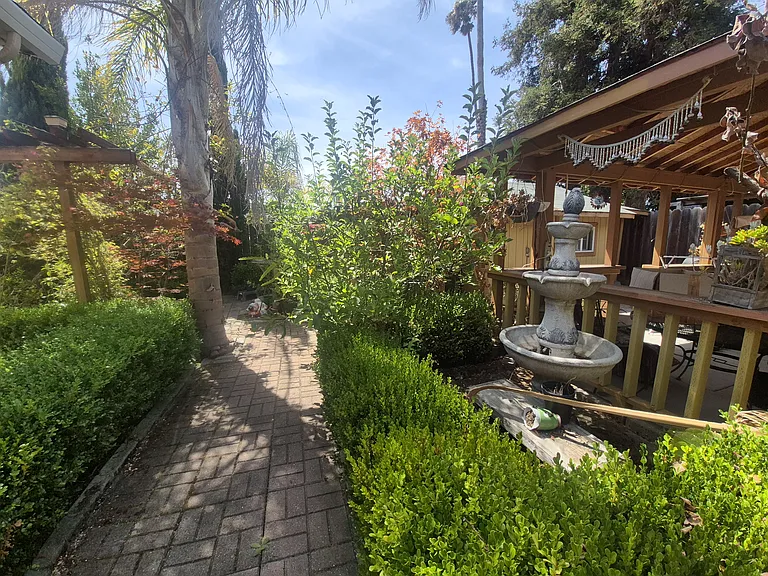 Lush garden