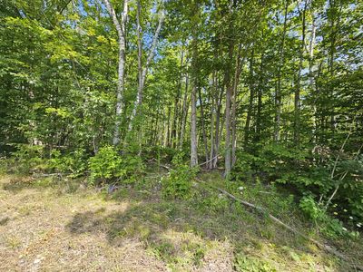 Nhn Rayburn Hwy, Presque Isle, MI, 49777