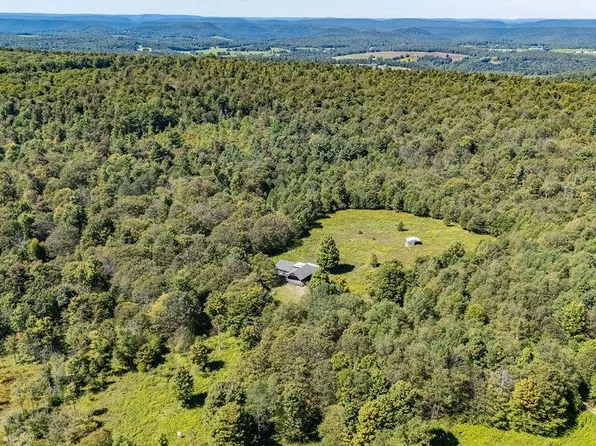 0 Route 287 Hwy, Morris, PA 16938