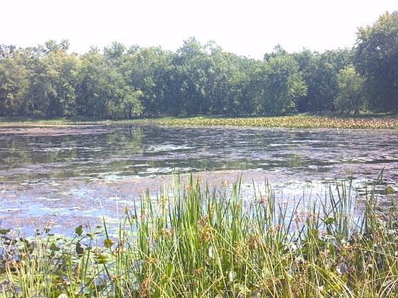 2nd image of 8498 S River Dr