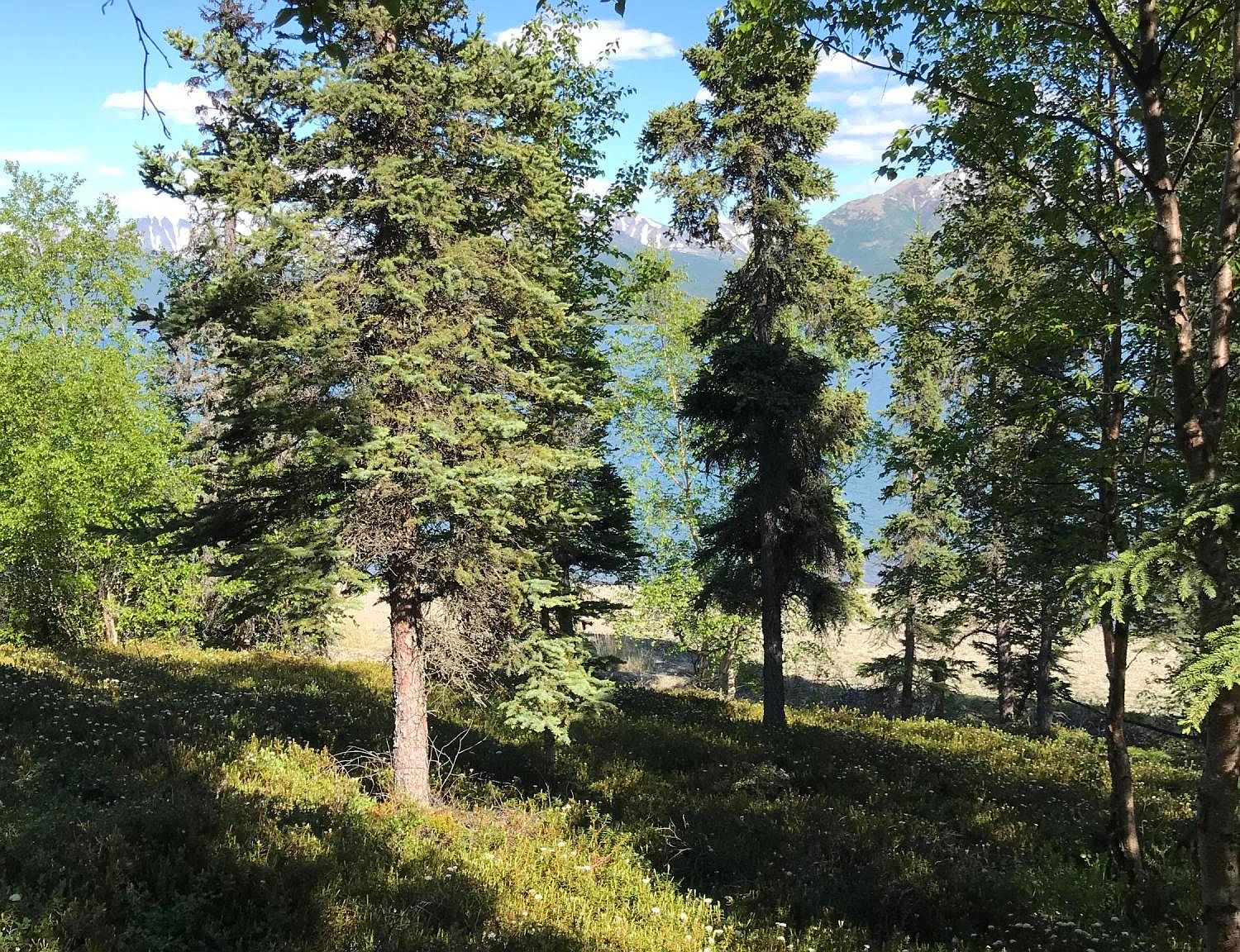 L5 B7 Keyes Point, Pt Alsworth, AK 99653 Zillow