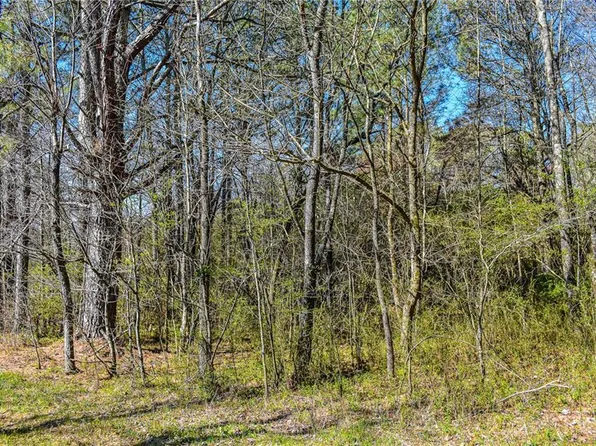 726 Highway 136 Connector #1, Talking Rock, GA 30175