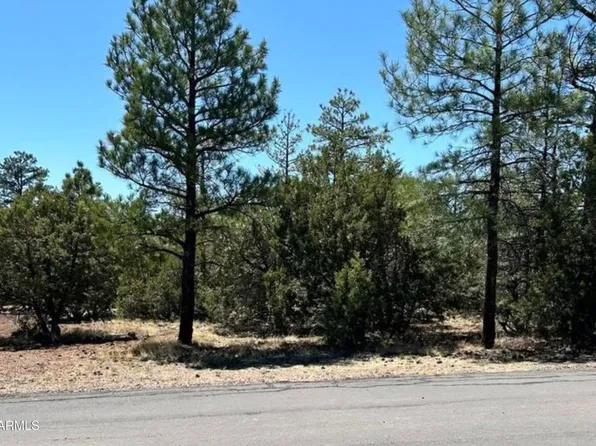5454 GRAY WOLF Drive #53, Lakeside, AZ 85929
